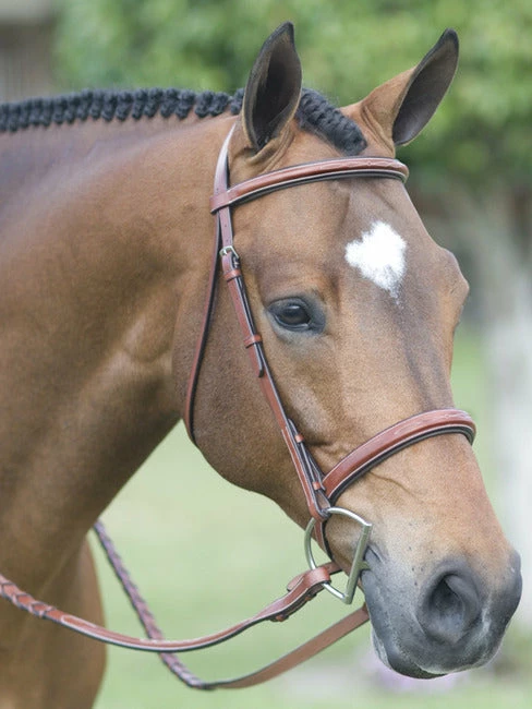 Best Pirce 🌟 English Riding Supply Pessoa Fancy Wide Noseband Show Bridle W/ Fancy Stitched Laced Reins 💯 3 English Riding Supply Pessoa Fancy Wide Noseband Show Bridle W/ Fancy Stitched Laced Reins