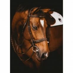 Top 10 🌟 Samshield Arion Hunter Bridle With Fancy Stitching English Bridles ⌛ 9 Samshield Arion Hunter Bridle With Fancy Stitching English Bridles