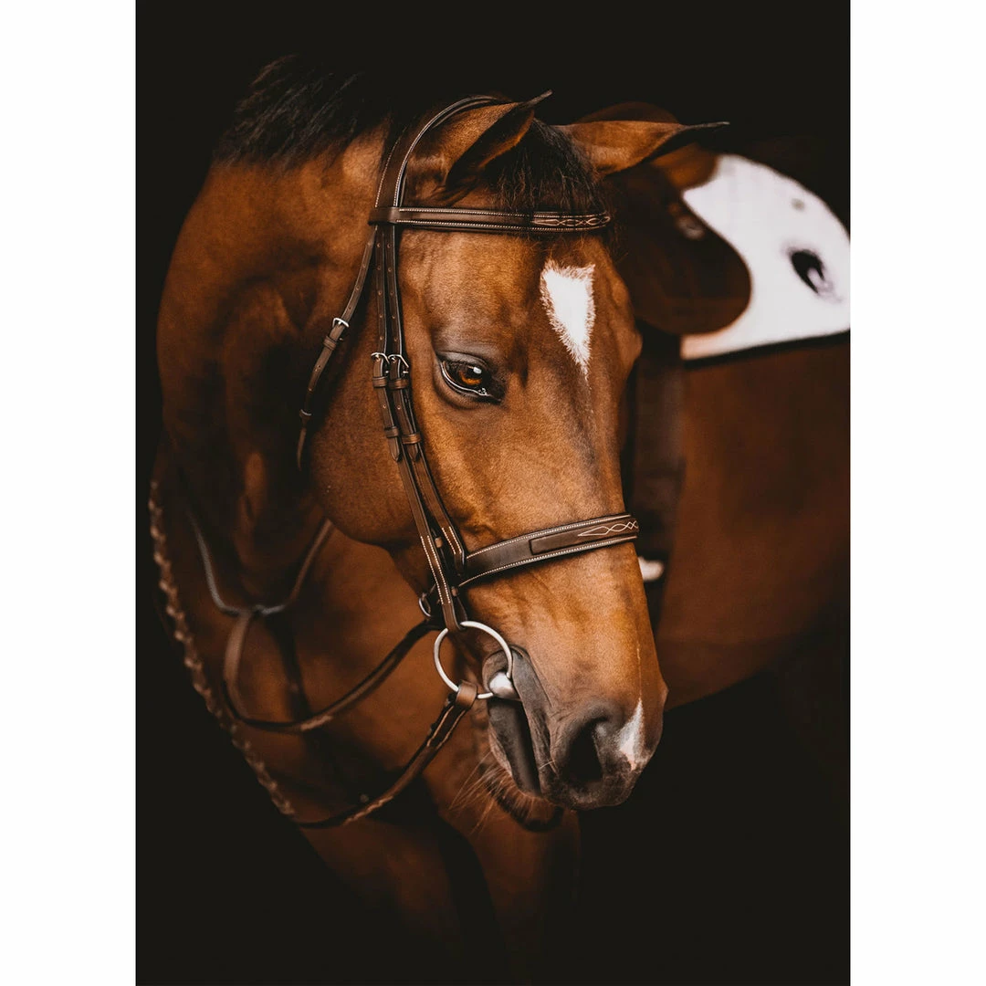 Top 10 🌟 Samshield Arion Hunter Bridle With Fancy Stitching English Bridles ⌛ 6 Samshield Arion Hunter Bridle With Fancy Stitching English Bridles