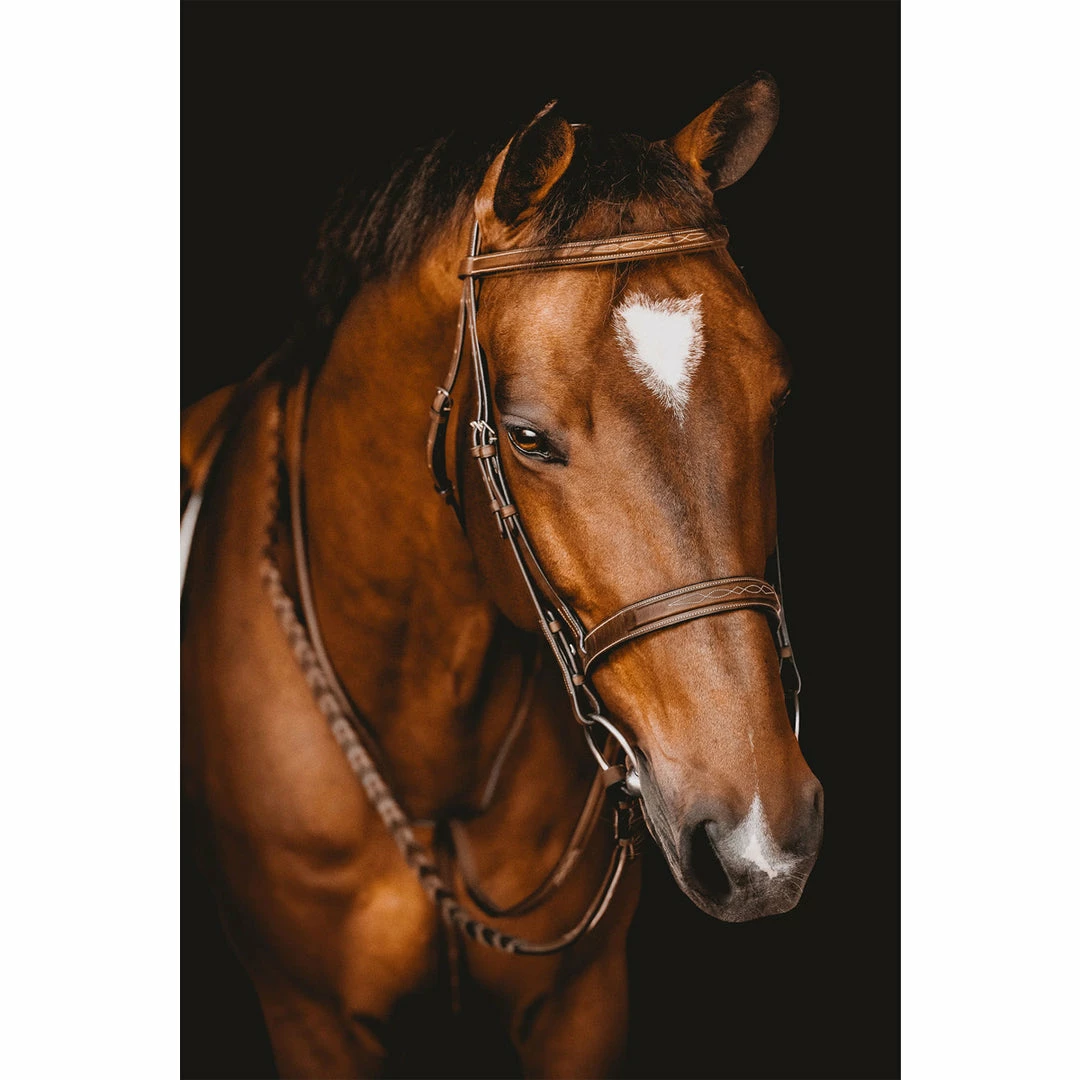 Top 10 🌟 Samshield Arion Hunter Bridle With Fancy Stitching English Bridles ⌛ 5 Samshield Arion Hunter Bridle With Fancy Stitching English Bridles