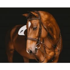Samshield Arion Hunter Bridle With Fancy Stitching English Bridles