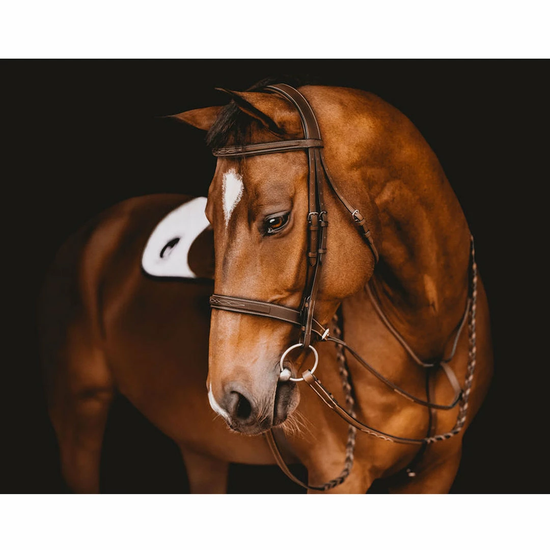 Top 10 🌟 Samshield Arion Hunter Bridle With Fancy Stitching English Bridles ⌛ 4 Samshield Arion Hunter Bridle With Fancy Stitching English Bridles