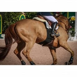 Best reviews of ๐ Equifit BellyBand Saddle Pads & Fittings ๐งจ 11 Equifit BellyBand Saddle Pads & Fittings