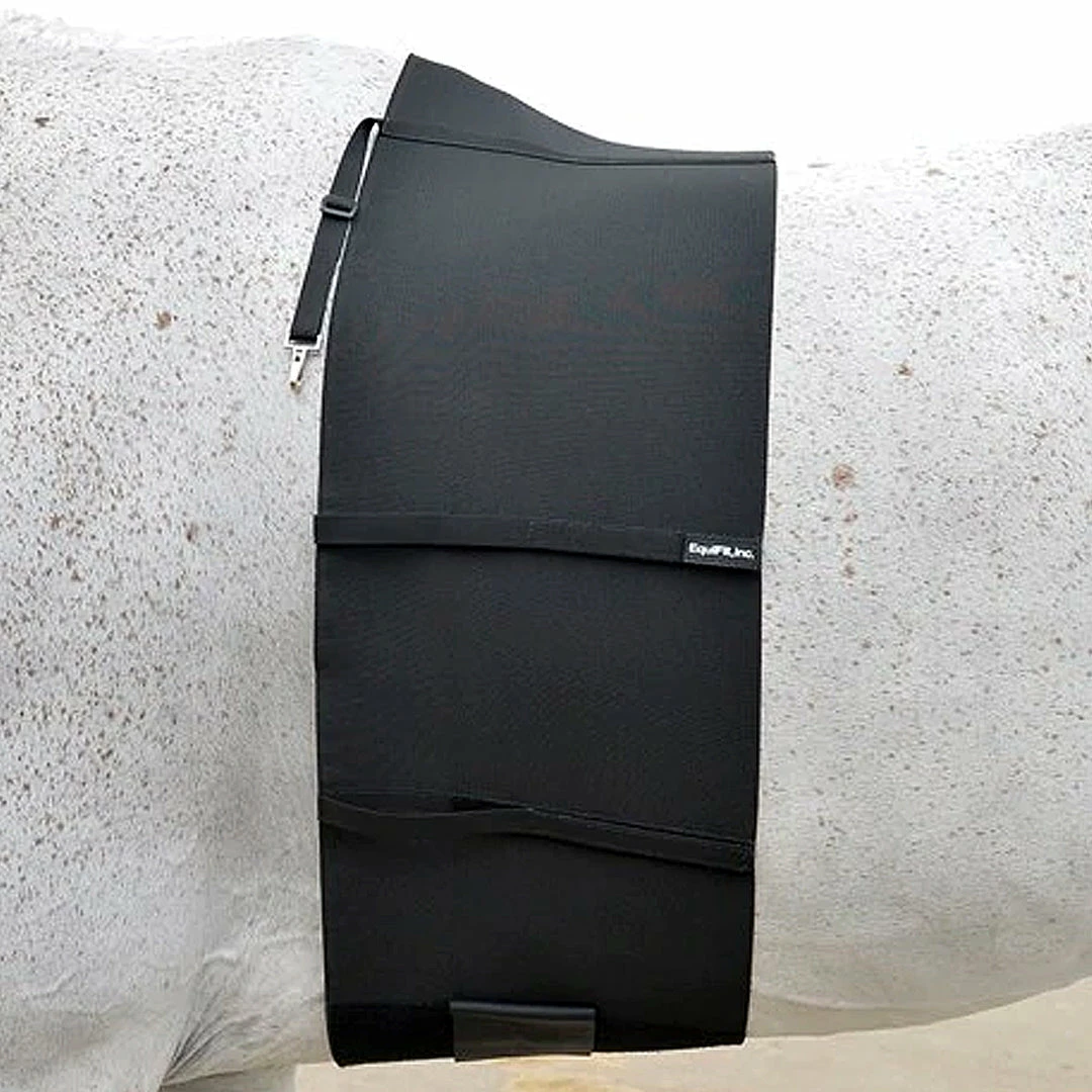 Best reviews of ๐ Equifit BellyBand Saddle Pads & Fittings ๐งจ 7 Equifit BellyBand Saddle Pads & Fittings