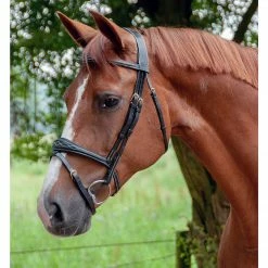 Buy 💯 Sagmae Dyon Anatomic Flash Noseband Bridle - D Collection 🛒 15 Sagmae Dyon Anatomic Flash Noseband Bridle - D Collection