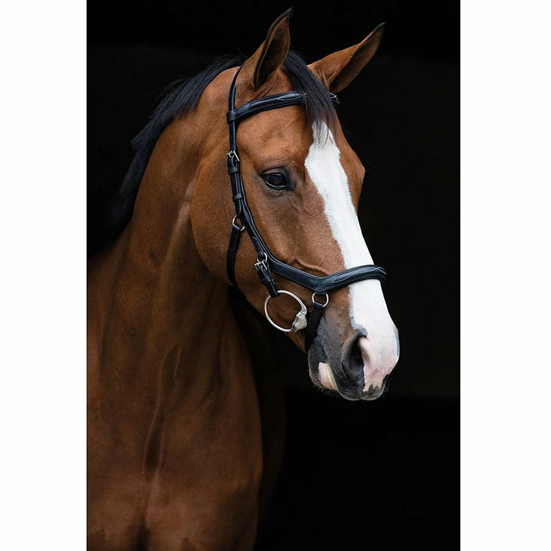Buy ๐งจ Horseware English Bridles Rambo Micklem Deluxe Competition Bridle ๐ฅ 5 Horseware English Bridles Rambo Micklem Deluxe Competition Bridle