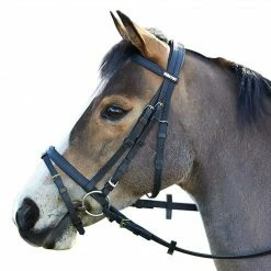 Saddlery Brands International Wintec English Bridle With Flash Noseband English Bridles