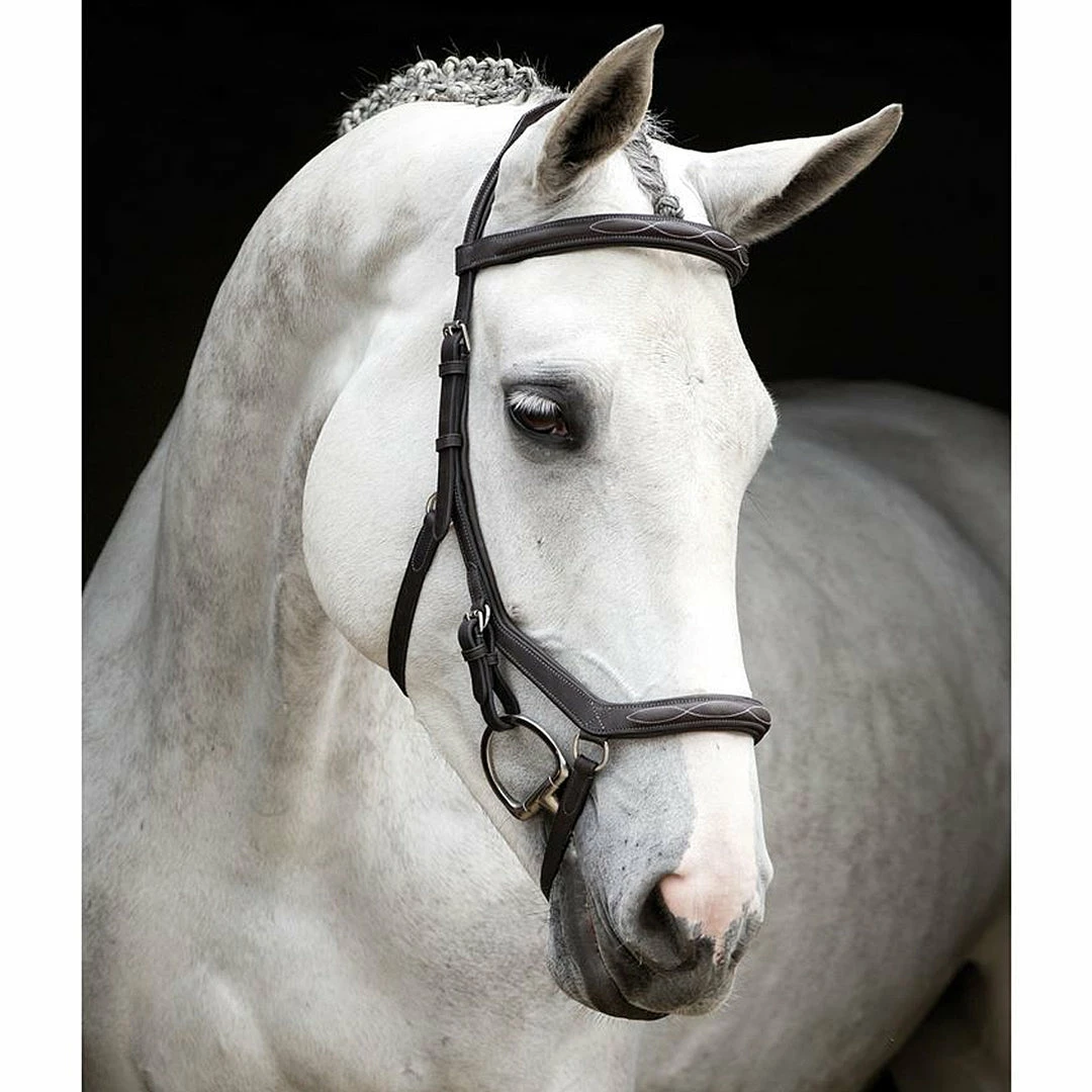 Buy ๐งจ Horseware English Bridles Rambo Micklem Deluxe Competition Bridle ๐ฅ 3 Horseware English Bridles Rambo Micklem Deluxe Competition Bridle