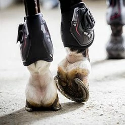 Best deal 🎉 Frantisi Horse 🥾 Boots & Wraps Acavallo Opera Front Boot -Gel Lined With Elasticated Stud Fastening 😉 35 Frantisi Horse Boots & Wraps Acavallo Opera Front Boot -Gel Lined With Elasticated Stud Fastening