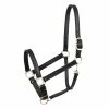 Wholesale ⌛ Perri's Leather Turnout Halter Halters & Leads ⭐ 1 Perri's Leather Turnout Halter Halters & Leads