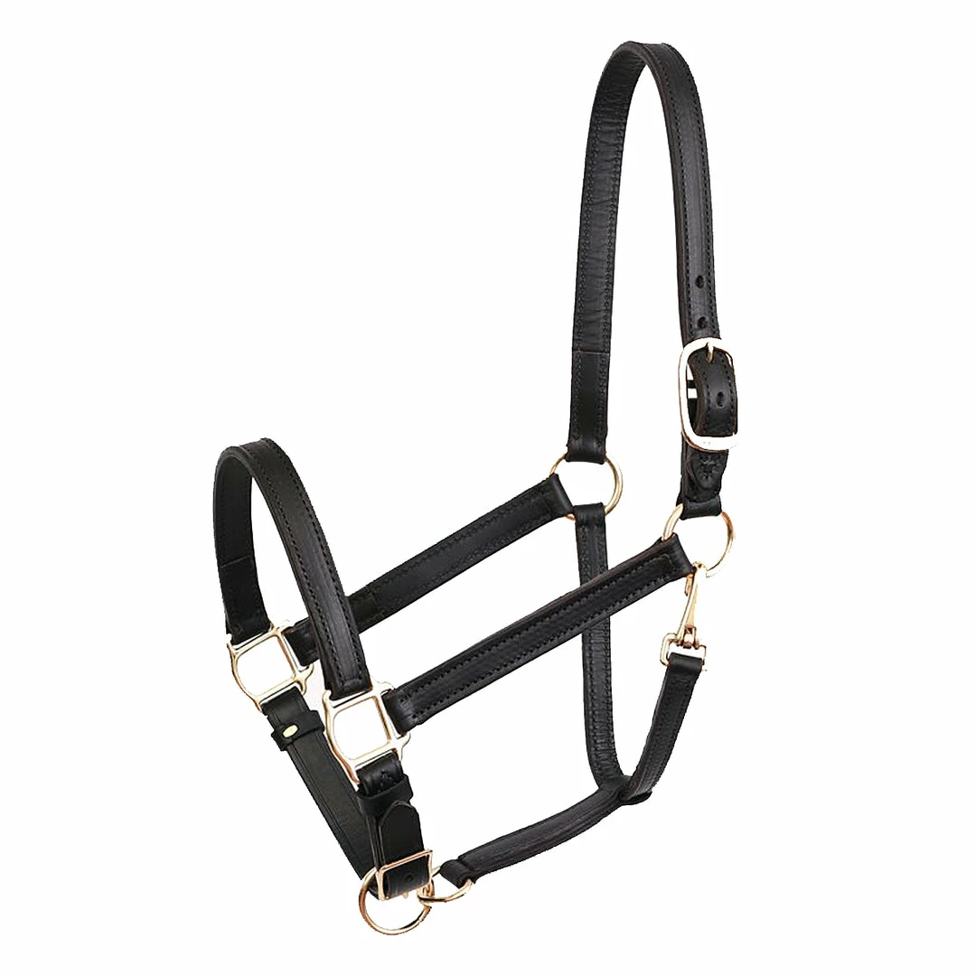 Wholesale ⌛ Perri's Leather Turnout Halter Halters & Leads ⭐ 3 Perri's Leather Turnout Halter Halters & Leads