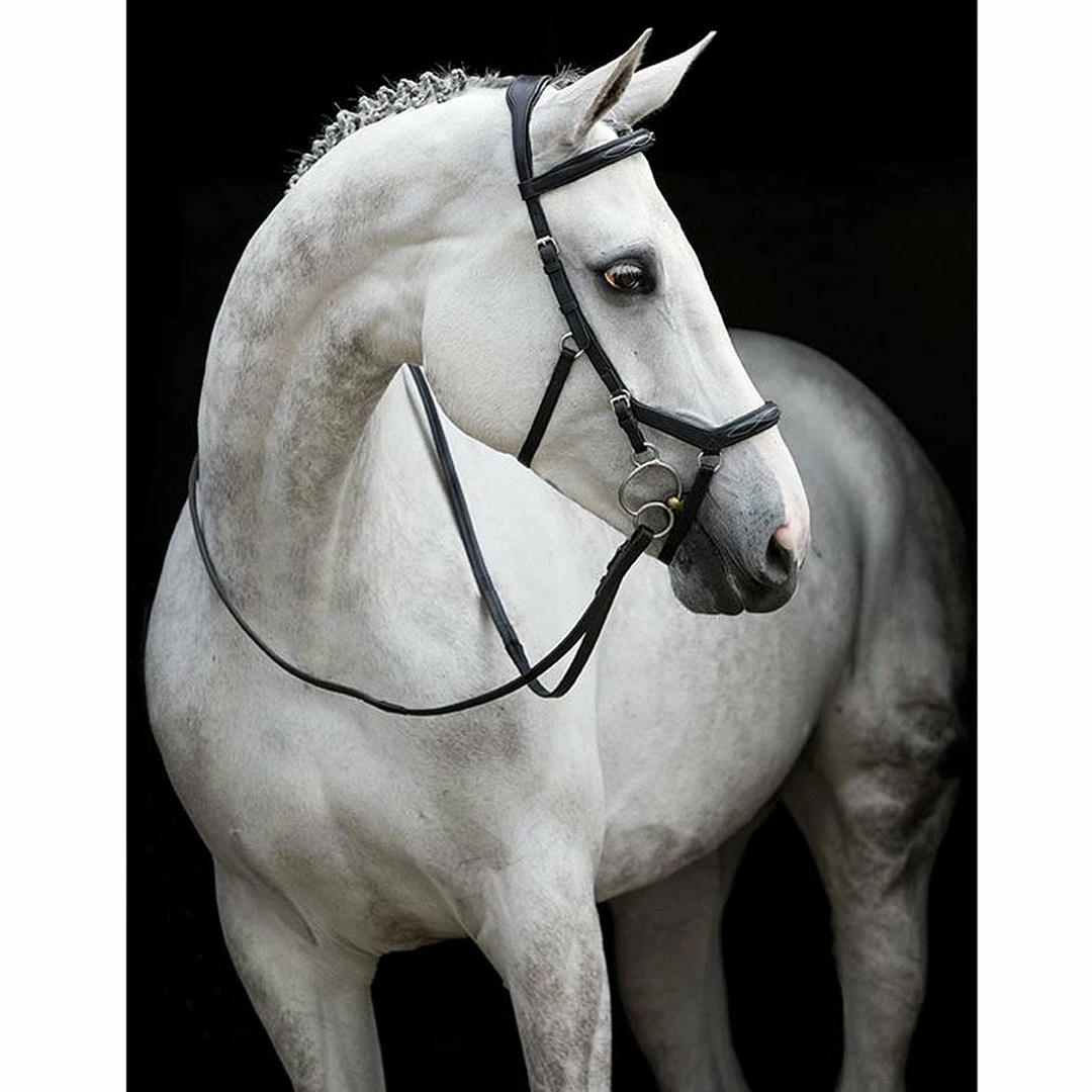 Buy ๐งจ Horseware English Bridles Rambo Micklem Deluxe Competition Bridle ๐ฅ 4 Horseware English Bridles Rambo Micklem Deluxe Competition Bridle