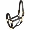 Perri's Leather Perri's 1" Leather Show Halter