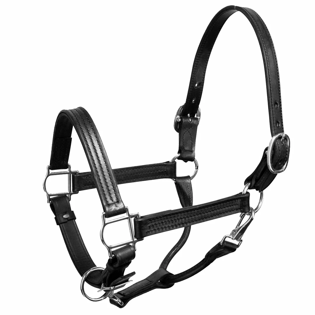 Cheapest ✨ Perri's Leather Perri's 1" Leather Show Halter ✨ 4 Perri's Leather Perri's 1" Leather Show Halter