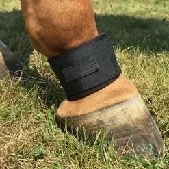 Best deal ๐ Equifit Neoprene Pastern Band Velcro Closure Horse ๐ฅพ Boots & Wraps โค๏ธ 7 Equifit Neoprene Pastern Band Velcro Closure Horse Boots & Wraps