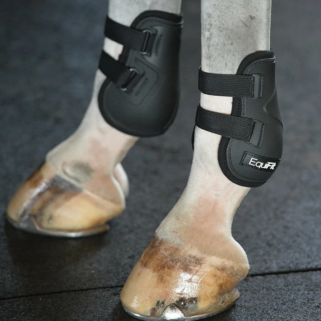 Deals 😀 EquiFit Prolete Hind Boot 😀 7 EquiFit Prolete Hind Boot