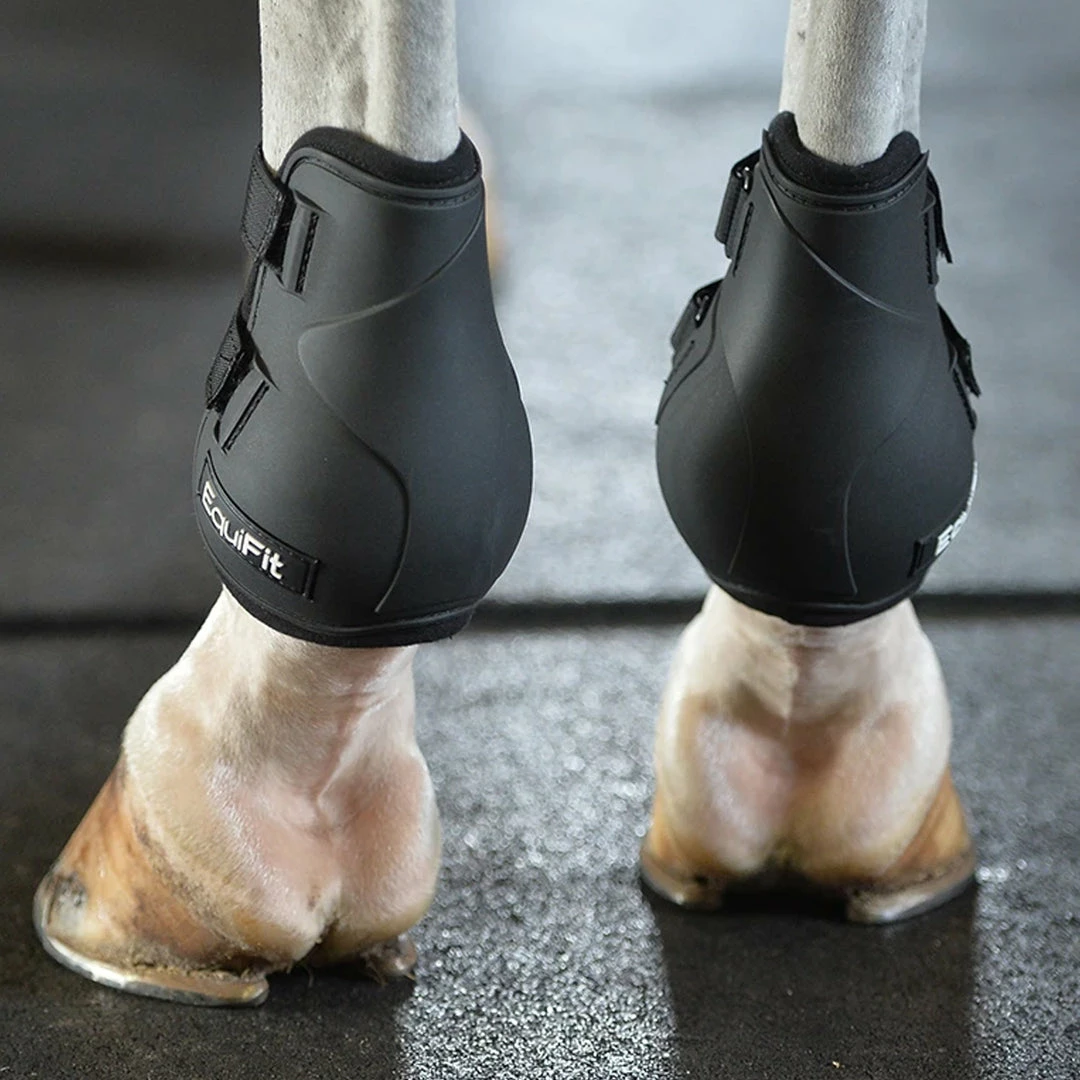 Deals 😀 EquiFit Prolete Hind Boot 😀 6 EquiFit Prolete Hind Boot