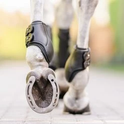 Coupon ๐ EquiFit Eq-Teq Hind Boot ๐ฏ 15 EquiFit Eq-Teq Hind Boot