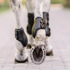 Coupon ๐ EquiFit Eq-Teq Hind Boot ๐ฏ 14 EquiFit Eq-Teq Hind Boot