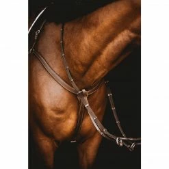 Samshield Arion Anatomic 3 Point Breastplate