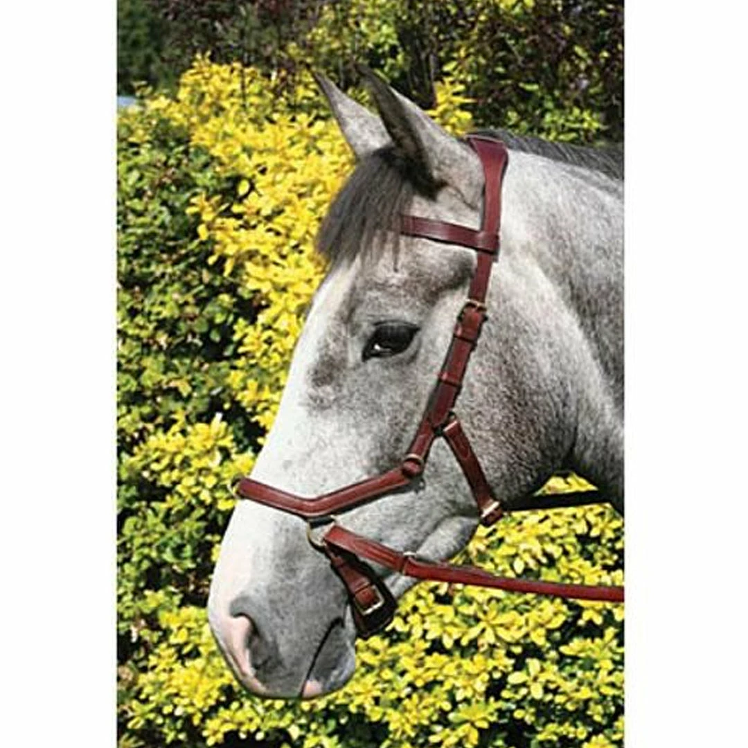 Best Sale 😍 English Bridles Horseware Rambo Micklem Multibridle 🎉 12 English Bridles Horseware Rambo Micklem Multibridle