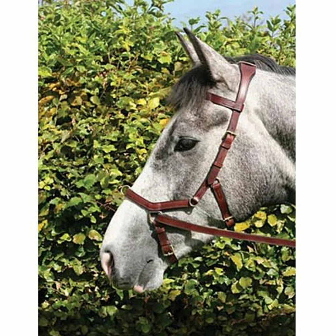 Best Sale 😍 English Bridles Horseware Rambo Micklem Multibridle 🎉 13 English Bridles Horseware Rambo Micklem Multibridle