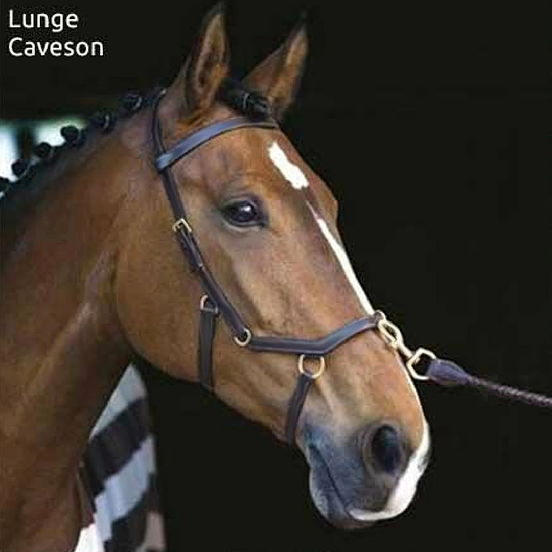 Best Sale 😍 English Bridles Horseware Rambo Micklem Multibridle 🎉 5 English Bridles Horseware Rambo Micklem Multibridle