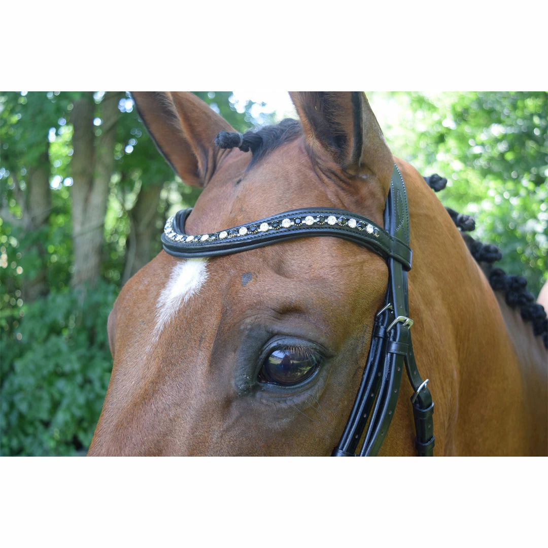 Hot Sale 👍 English Bridles Red Barn By KL Select Stride 👗 Dressage Bridle 🌟 4 English Bridles Red Barn By KL Select Stride Dressage Bridle