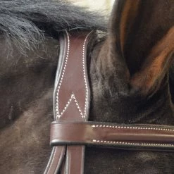 English Bridles Black Oak By KL Select Cyprus Hunter Bridle