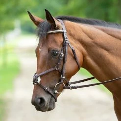 English Bridles Nunn Finer Figure Eight Bridle