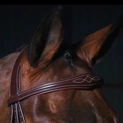 Buy 💯 Sagmae Dyon Anatomic Flash Noseband Bridle - D Collection 🛒 11 Sagmae Dyon Anatomic Flash Noseband Bridle - D Collection