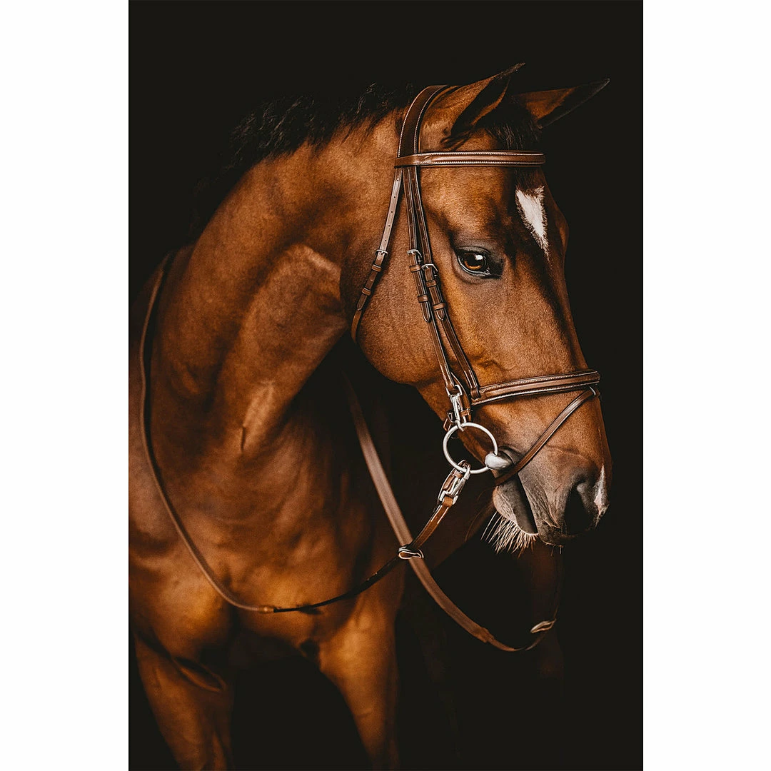 Buy ๐ Samshield Arion French Noseband Training Bridle English Bridles ๐ 4 Samshield Arion French Noseband Training Bridle English Bridles