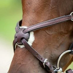 Best deal 😉 English Bridles Nunn Finer Figure Eight Bridle 🎉 10 English Bridles Nunn Finer Figure Eight Bridle