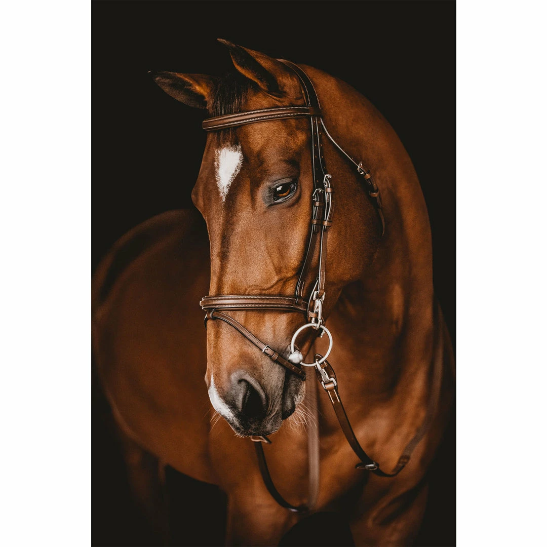 Buy ๐ Samshield Arion French Noseband Training Bridle English Bridles ๐ 5 Samshield Arion French Noseband Training Bridle English Bridles