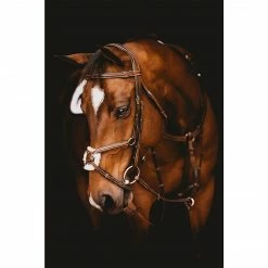 Samshield English Bridles Arion Anatomic Figure 8 Noseband Bridle