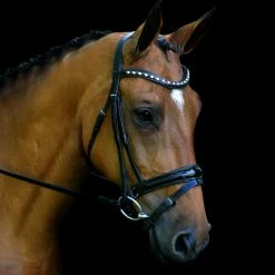 Hot Sale 👍 English Bridles Red Barn By KL Select Stride 👗 Dressage Bridle 🌟 12 English Bridles Red Barn By KL Select Stride Dressage Bridle