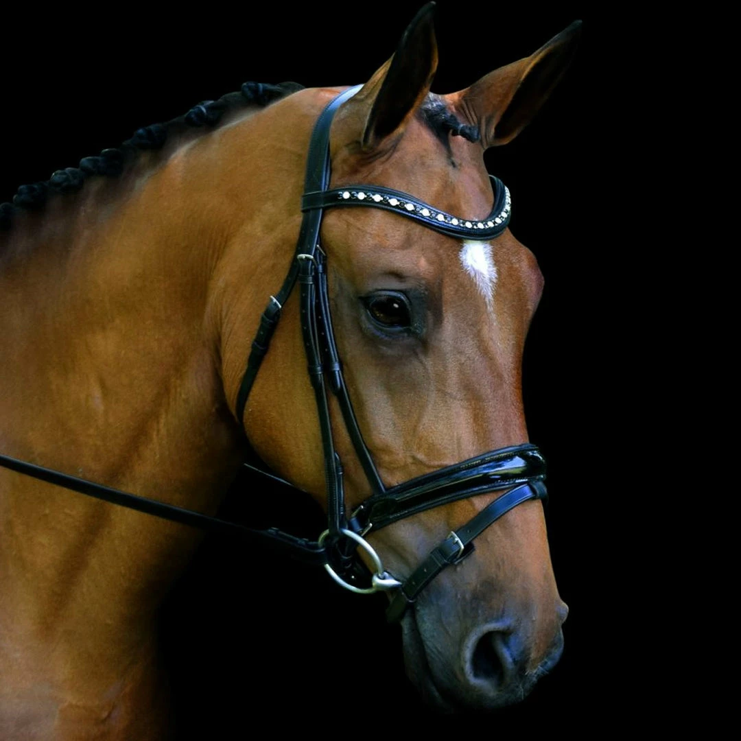 Hot Sale 👍 English Bridles Red Barn By KL Select Stride 👗 Dressage Bridle 🌟 5 English Bridles Red Barn By KL Select Stride Dressage Bridle