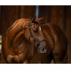 Best Sale 😍 English Bridles Horseware Rambo Micklem Multibridle 🎉 18 English Bridles Horseware Rambo Micklem Multibridle