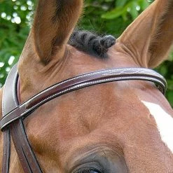 Wholesale 😉 Sagmae Dy'on Fancy Stitch Wide Noseband Bridle English Bridles 😍 10 Sagmae Dy'on Fancy Stitch Wide Noseband Bridle English Bridles