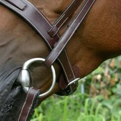Wholesale 😉 Sagmae Dy'on Fancy Stitch Wide Noseband Bridle English Bridles 😍 11 Sagmae Dy'on Fancy Stitch Wide Noseband Bridle English Bridles