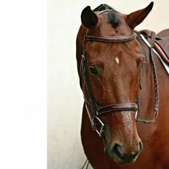 Top 10 🔥 English Bridles Nunn Finer Caterina Hunter Bridle ⭐ 11 English Bridles Nunn Finer Caterina Hunter Bridle