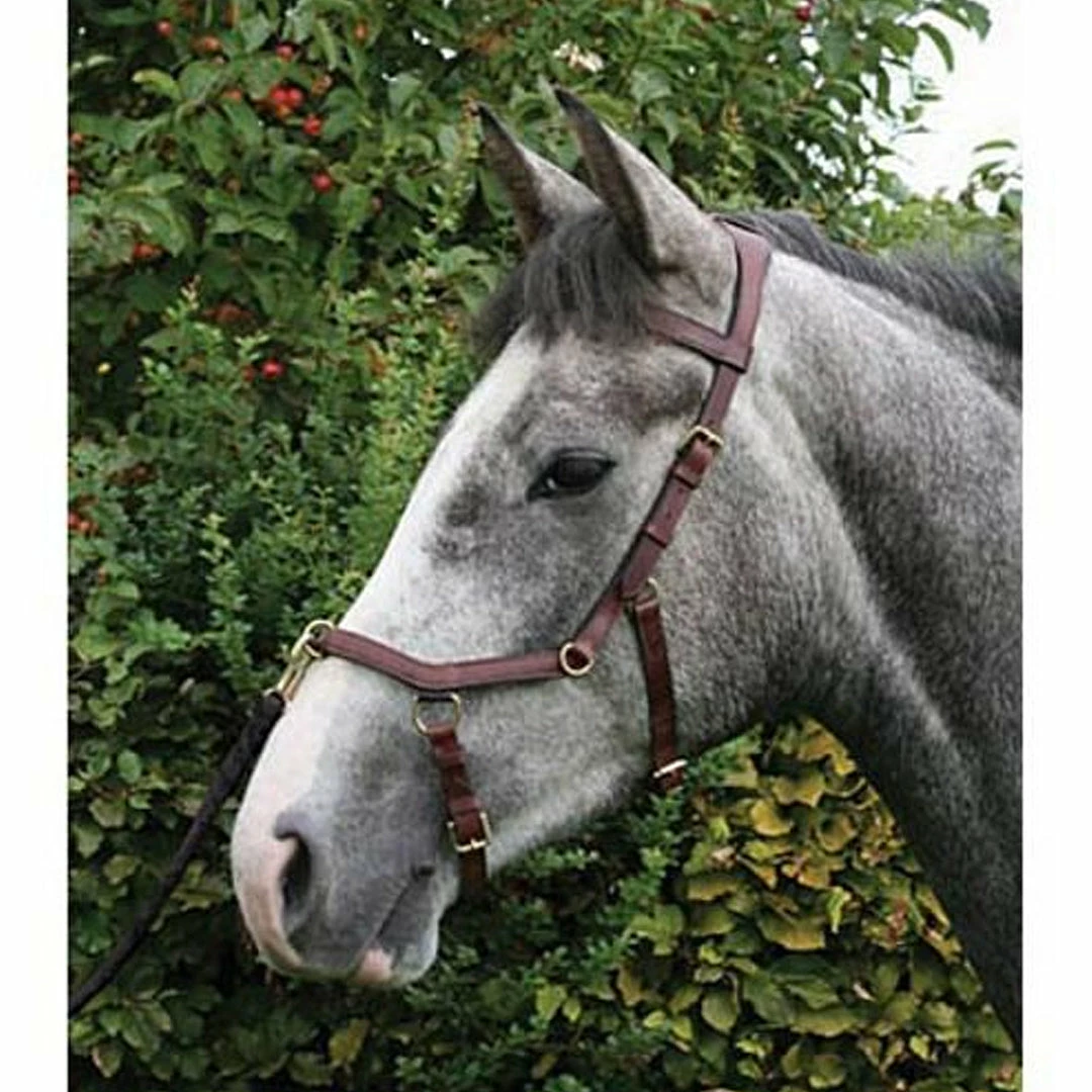 Best Sale 😍 English Bridles Horseware Rambo Micklem Multibridle 🎉 10 English Bridles Horseware Rambo Micklem Multibridle