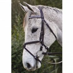 Best reviews of ⭐ Nunn Finer Padded Figure 8 Noseband With Interchangeable Button Pieces English Bridles ✨ 11 Nunn Finer Padded Figure 8 Noseband With Interchangeable Button Pieces English Bridles