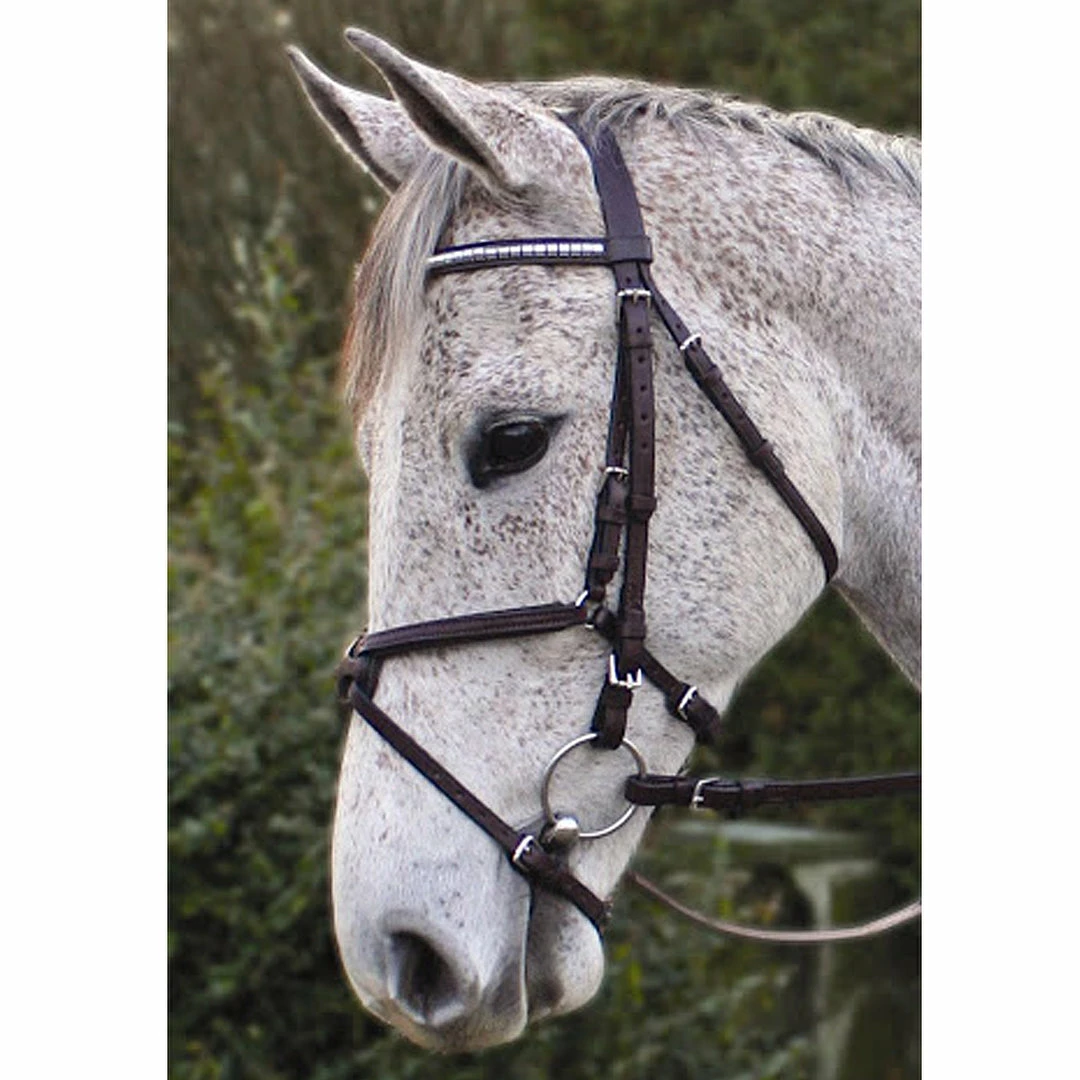 Best reviews of ⭐ Nunn Finer Padded Figure 8 Noseband With Interchangeable Button Pieces English Bridles ✨ 6 Nunn Finer Padded Figure 8 Noseband With Interchangeable Button Pieces English Bridles