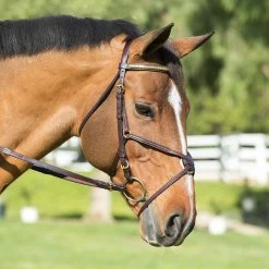 Best reviews of ⭐ Nunn Finer Padded Figure 8 Noseband With Interchangeable Button Pieces English Bridles ✨ 12 Nunn Finer Padded Figure 8 Noseband With Interchangeable Button Pieces English Bridles