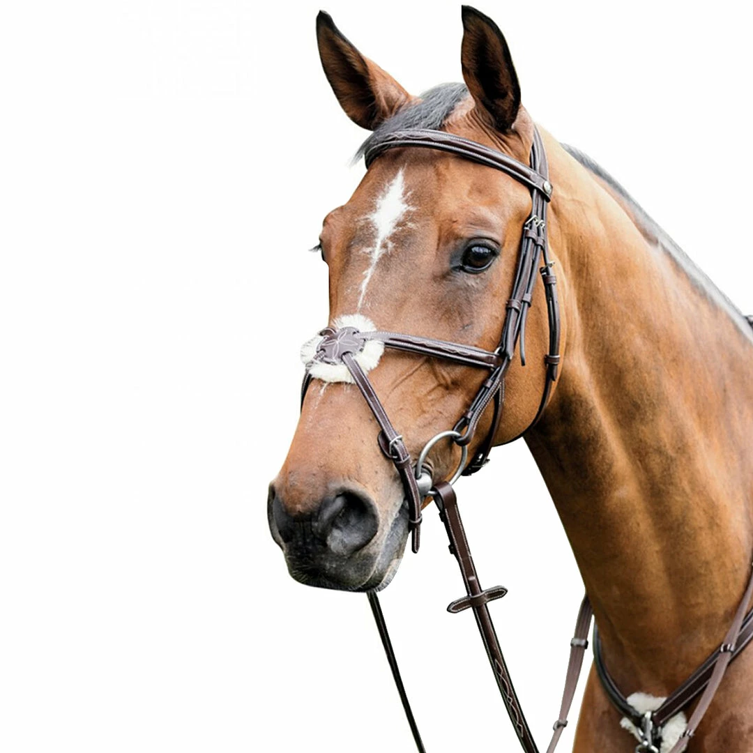 Cheap ๐งจ English Bridles Prestige 3E080 Leather Bridle With Figure 8 Noseband ๐คฉ 3 English Bridles Prestige 3E080 Leather Bridle With Figure 8 Noseband