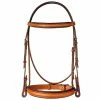Best reviews of 💯 Edgewood 3/4" Fancy Raised Padded Bridle With Padded Crown English Bridles 🔥 1 Edgewood 3/4" Fancy Raised Padded Bridle With Padded Crown English Bridles