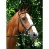 Red Barn By KL Select Tryon Hunter Bridle English Bridles