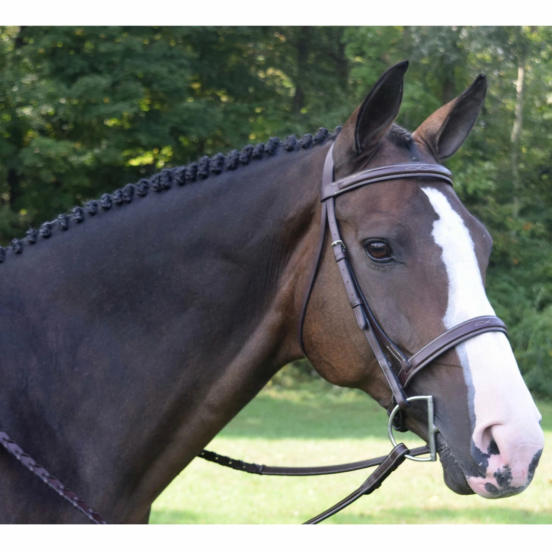 Flash Sale ⌛ English Bridles Black Oak By KL Select Spruce Hunter Bridle ⭐ 3 English Bridles Black Oak By KL Select Spruce Hunter Bridle