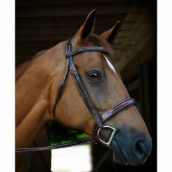 Deals ❤️ English Bridles KL Select Italia Tuscany Hunter Bridle 🌟 10 English Bridles KL Select Italia Tuscany Hunter Bridle